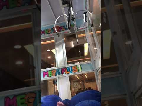 Caçada ao stich azul na mega plush