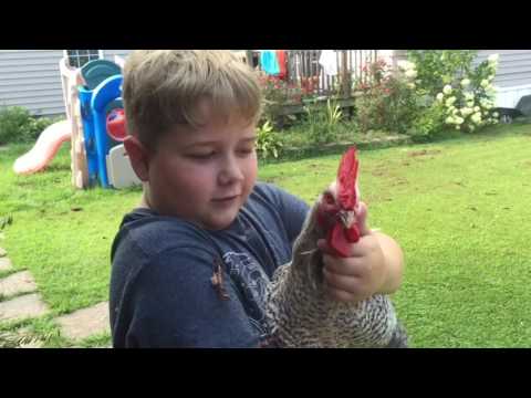 How we wreck a bouncy house! 🎪☀️