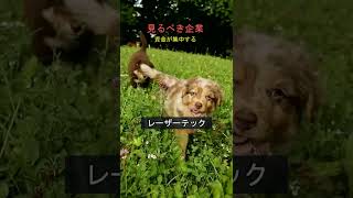 #株式 #日本株 #株式投資 #投資初心者 #資産運用 #高配当株 #成長株 #デイトレード #高配当株 #新NISA #日経平均