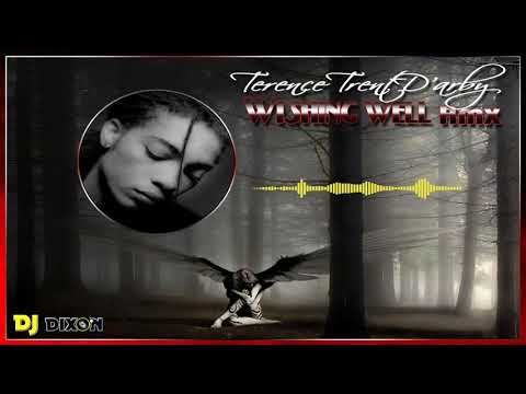 Terence Trent D'arby - Wishing well (Dj Dixon rmx)