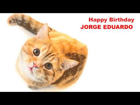 Jorge Eduardo   Cats Gatos - Happy Birthday