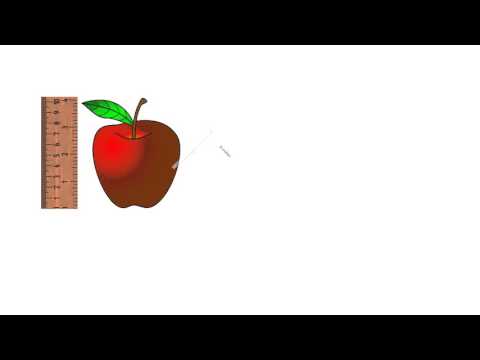 2mda4 2nd Grade Math Measurement Common Core