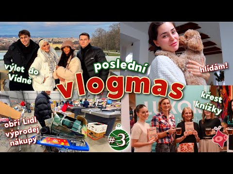 VLOGMAS #3 II vánoční Vídeň s kamarády, křest knížky, obří Lidl výprodej, vánoční cukroví🎄🍪💌