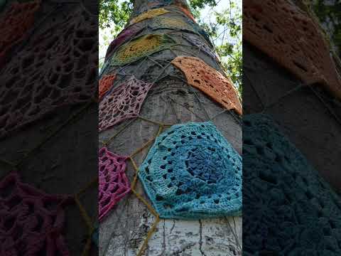 RESERVA NATURAL Y ECOTURISTICA SAN VENANCIO - SAN VICENTE DEL CAGUAN