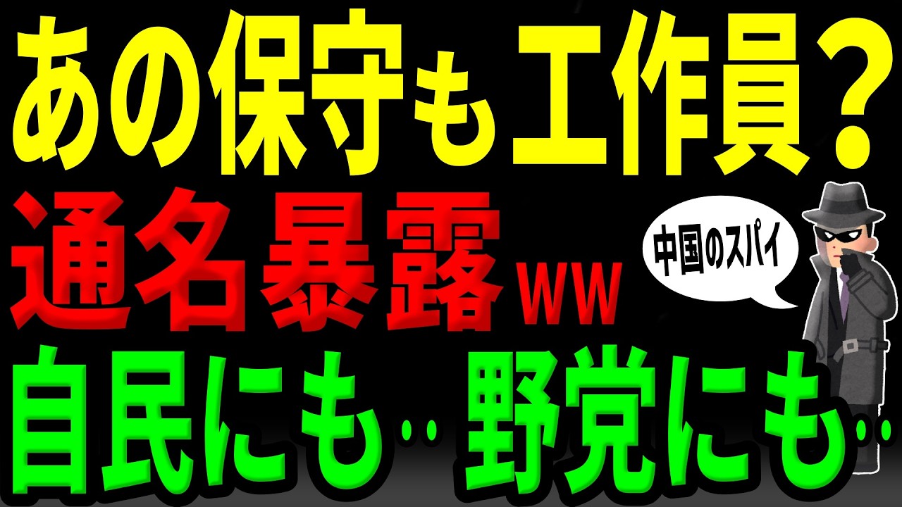 【実名】あの保守も工作員？彼らの「通名」を徹底暴露w、自民も野党も汚染済み‥《テレビでは流せない真実》【海外の反応】by ゆきのん日和🐍with 妹のなつみ🍊