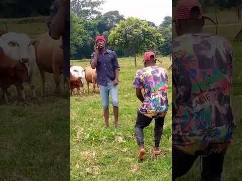 kelbizo behind the scenes