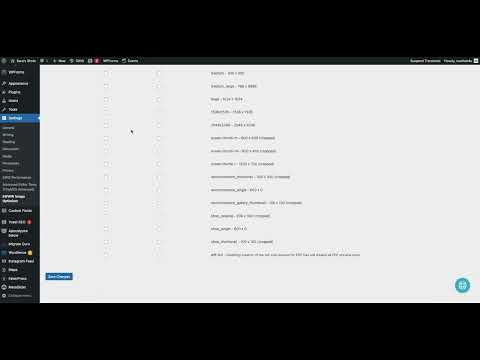 Ludicrous Mode - Resize Options