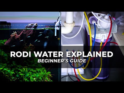 RODI Water for Aquariums: Beginner’s Guide (Everything You Need to Know)