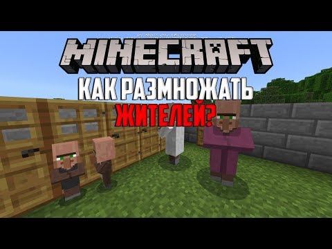 Как Размножать Жителей в Minecraft PE 1.5?