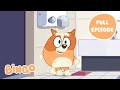 Bingo At The Movies Bluey Full Episode Bingo Official Channel