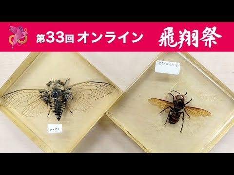樹脂標本企画～リモートで樹脂標本を作ろう！～