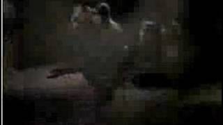 MAZE  ft Frankie Beverly - Can't get over you 1989