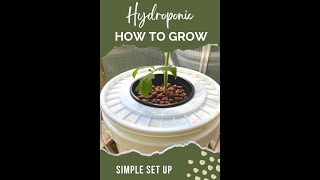 Thumbnail for video: Build Guide