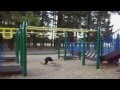 AFV Part 8 America S Funniest Home Videos 2011 YouTube