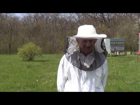 DRUGO PROLEĆNO PROŠIRENJE LEGLA - APRIL 2021.  PČELARSTVO IVANČEVIĆ