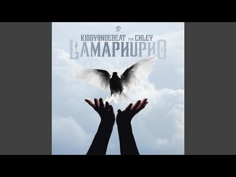Lamaphupho (feat. Chley)