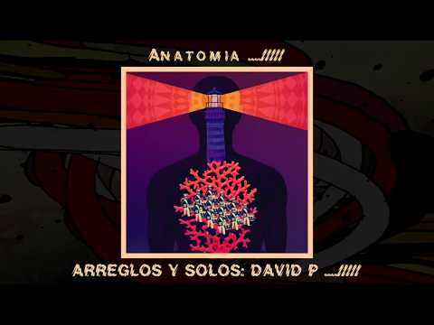 06 ☕️ Uzi Key - ANATOMIA ☕️ |Lyric Video| [CAFEINA] ..../////