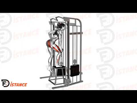 Exercice Step up à la poulie