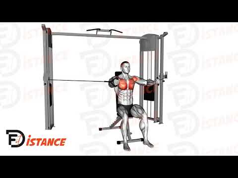 Exercice Écartés assis à la poulie