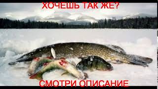 Отчеты о рыбалке михайловская слобода