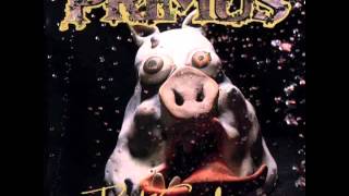Primus   Silly Putty   YouTube