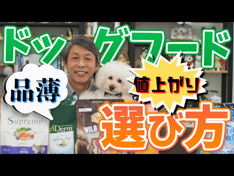 ドッグフードの種類とメリット