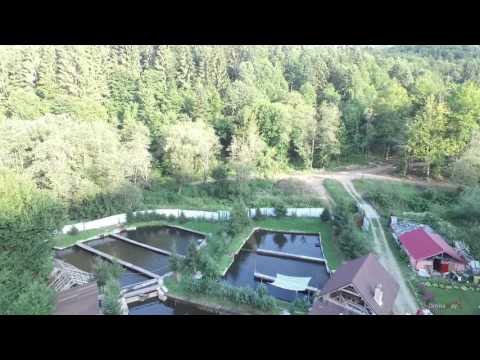 Cabana si Pastravaria Barlogul Ursilor de pe Valea Strimbei Brasov By DronaWay