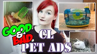 Inappropriate Small Animal Setups!  | Craigslist Pet Ads | Munchie's Place