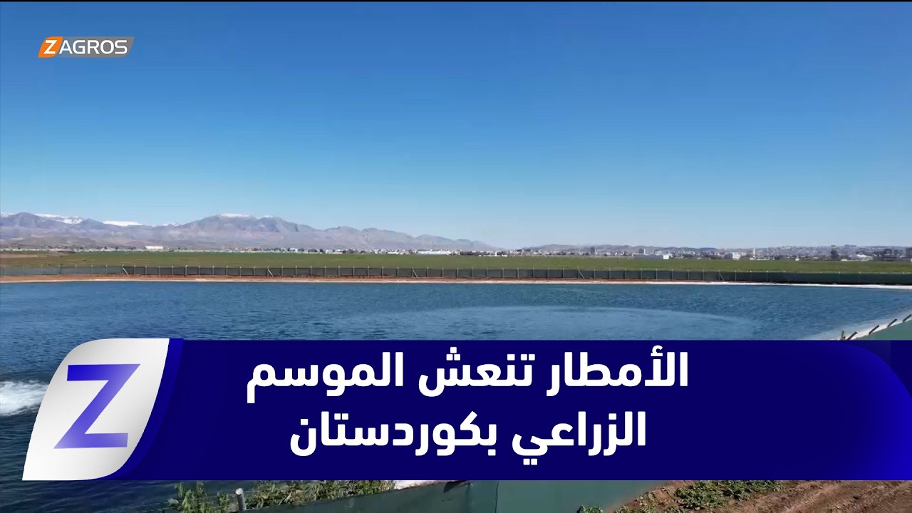 فيديو | أمطار الخير تنعش الموسم الزراعي في إقليم كوردستان