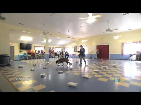 Izzy NW3 Stokesdale NC - Containers