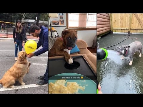 Fails of The Week  😂  EP:7  |  Funny Fails  | Fail Army