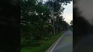 Download lagu Rinduku Menantimu mp3