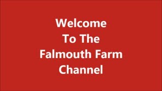 preview picture of video 'Falmouth Farm YouTube Trailer'