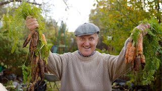 Tapir! – “Nail in a Wooden Trunk”