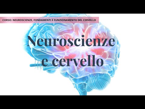 Introduction to Neuroscience - Lesson 1