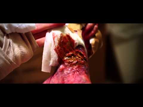 Trailer-Vorschau: Eat - Ich hab mich zum Fressen gern