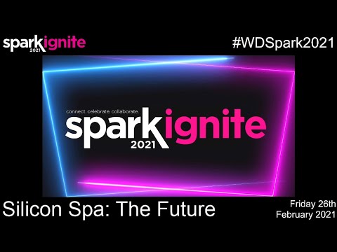 Silicon Spa: The Future
