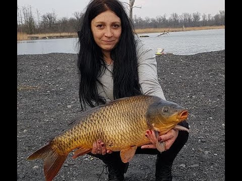 Żniwa Karpiowe, Dominik się przełamał . Druga zasiadka.