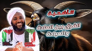صورة أحكام وقواعد الأضحية  |  العادات والعبادات  #الأضحية #إشارات