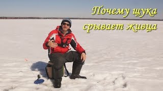 Насадка живца на тройник жерлицы