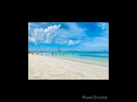 muero por verla vallenato editado