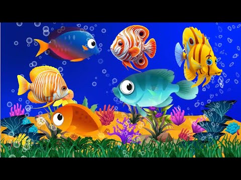 Nap Time Music Preschool and Soothing Water Sounds   Baby Sleep Time and Fish Animation #lullaby #4