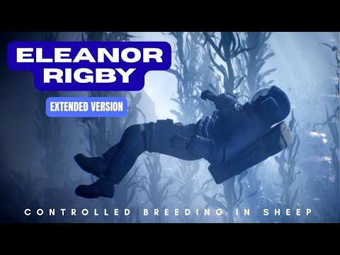 Eleanor Rigby Extended Version