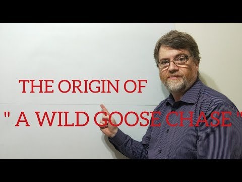 英語の家庭教師ニックP単語の起源 (71) A Wild Goose Chase (English Tutor Nick P Word Origins (71) A Wild Goose Chase)