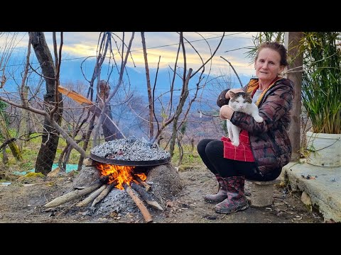 A Simple Life: Cultivating a Home for Chicks and Cooking the Perfect Pumpkin Pie in the Village
