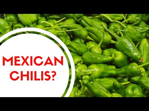 Mexican Peppers Explained