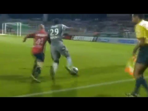 Étienne Capoue - Goals, Skills, Emotions