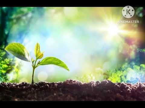 Jaimie Fanatic - A New Day (2007)