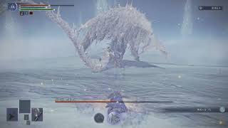 常夜(強化カリゴ) ソロ 地変無し ELDEN RING NIGHTREIGN(エルデンリングナイトレイン) 追跡者 Caligo, Miasma of Night