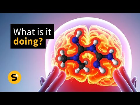 We may finally know how metformin treats diabetes